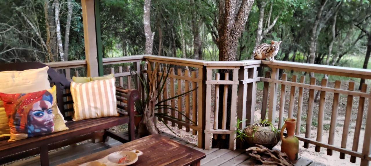 Thornwood Villa Hluhluwe Eksteriør bilde
