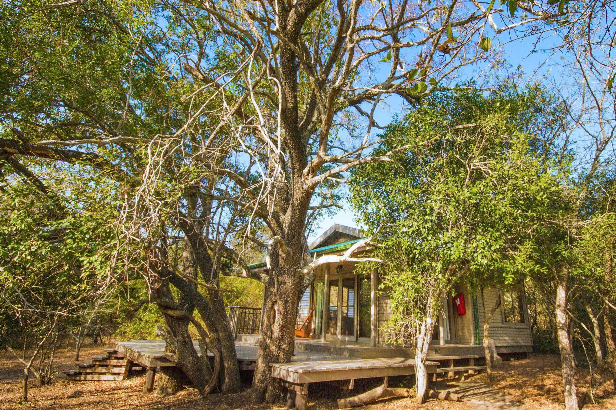 Thornwood Villa Hluhluwe Eksteriør bilde